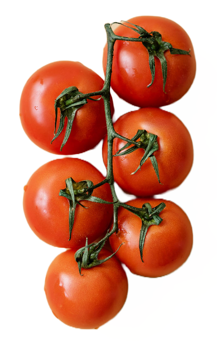 tomatoes on vine